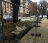 photo-3-29-18-15-41-05